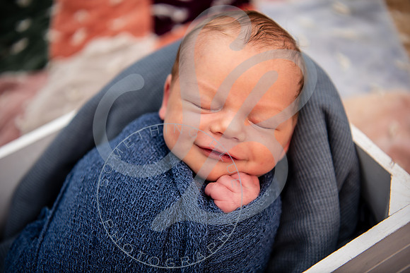 Brady - Newborn_081925_0306