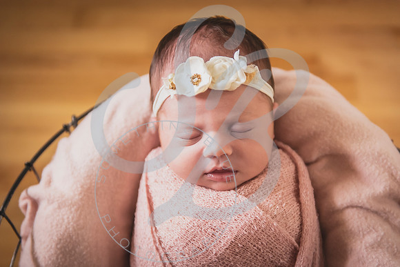 Mia - Newborn_052424_0386