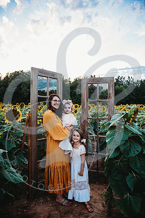 Sunflower Minis - Katelin_071222_0006