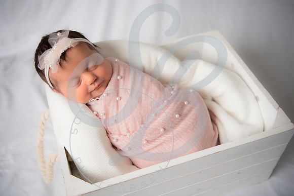 Adcock Twins - Newborn_070225_0125