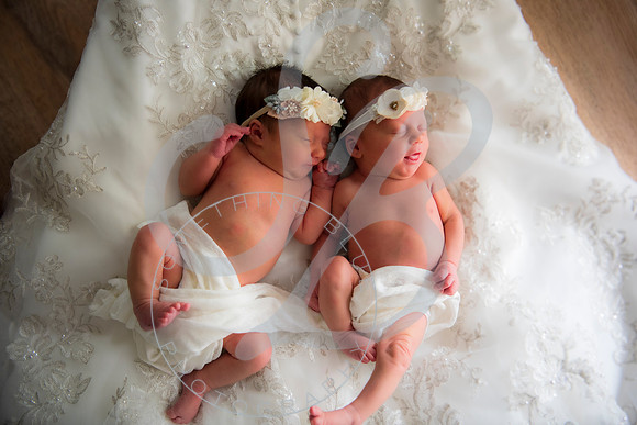 Adcock Twins - Newborn_070225_0209