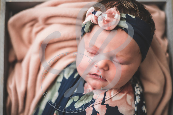 Parker - Newborn_030222_0279