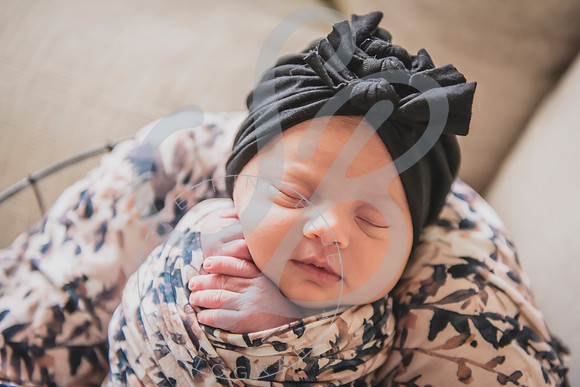 Mia - Newborn_052424_0533