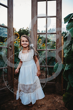 Sunflower Minis - Katelin_071222_0093