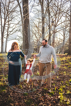 Meaghan - Maternity_032622_0103