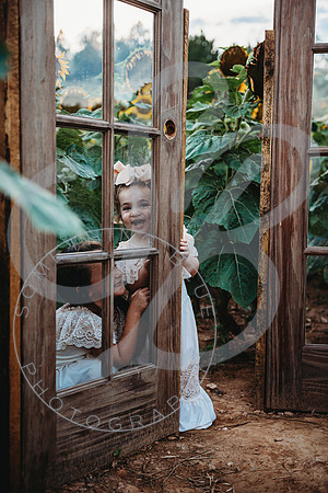 Sunflower Minis - Katelin_071222_0079