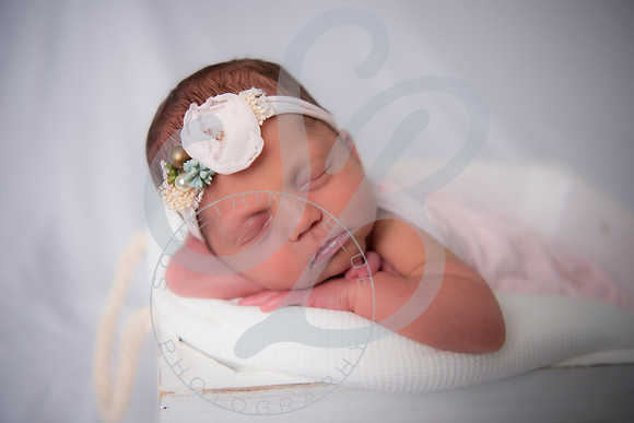 Adcock Twins - Newborn_070225_0182