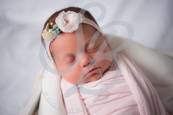 Adcock Twins - Newborn_070225_0162