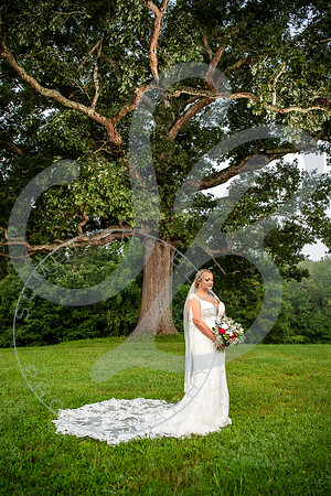 Jennifer - Bridal_081625_0351