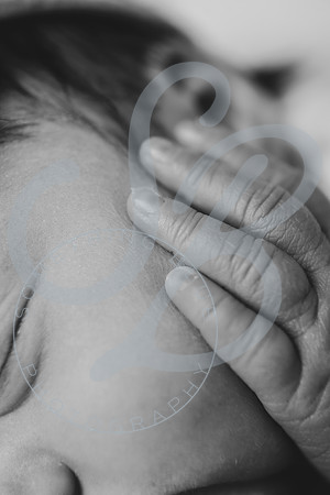 Adcock Twins - Newborn_070225_0328