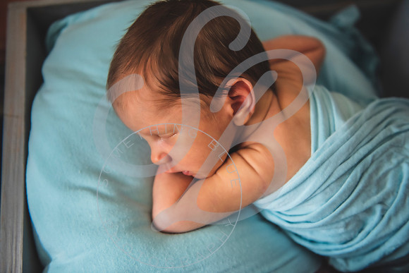 Liam - Newborn_072122_0336