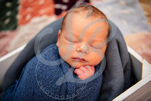 Brady - Newborn_081925_0308