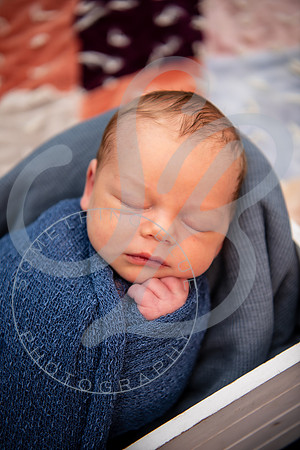 Brady - Newborn_081925_0313