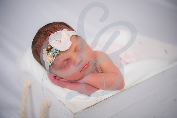 Adcock Twins - Newborn_070225_0187
