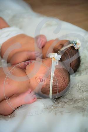 Adcock Twins - Newborn_070225_0237