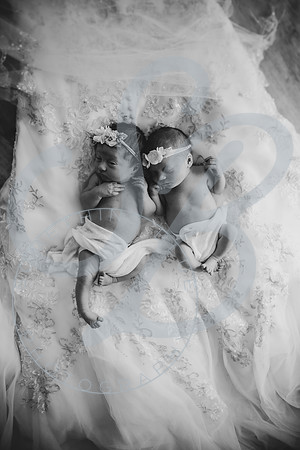 Adcock Twins - Newborn_070225_0233