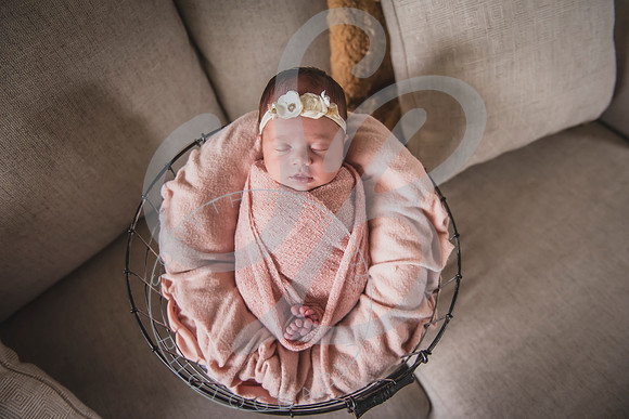 Mia - Newborn_052424_0394