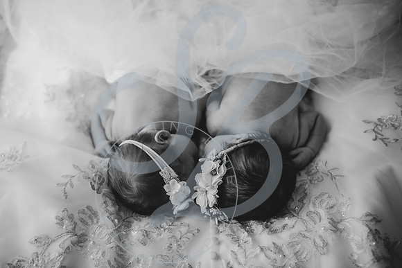 Adcock Twins - Newborn_070225_0265