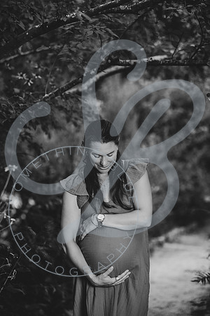 Michelle - Maternity_082025_0132