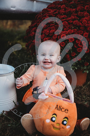 Alice - 8 month_101822_0507