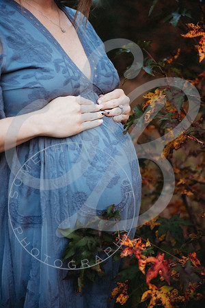 Shannon - Maternity_103022_0348