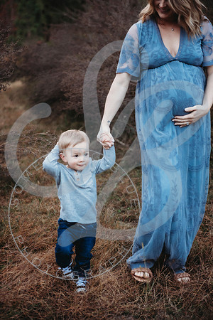 Shannon - Maternity_103022_0517