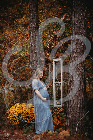 Shannon - Maternity_103022_0134