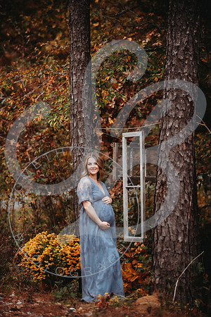Shannon - Maternity_103022_0128
