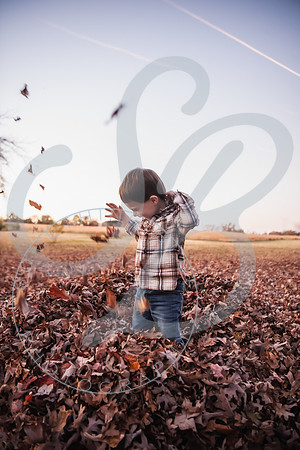 750_9529