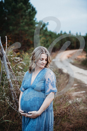 Shannon - Maternity_103022_0278