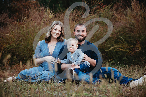 Shannon - Maternity_103022_0283