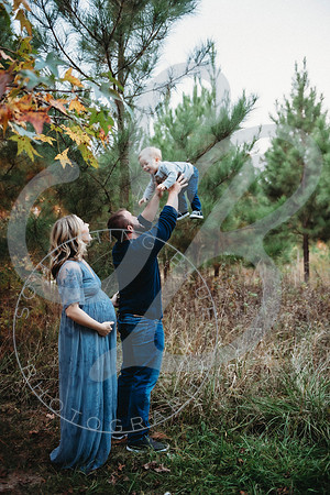 Shannon - Maternity_103022_0227