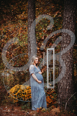 Shannon - Maternity_103022_0131