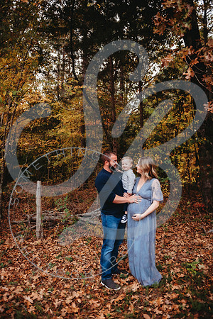 Shannon - Maternity_103022_0019