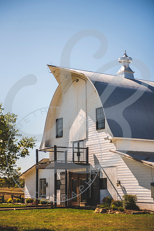 Veronica & Omar - Wedding Slideshow.003