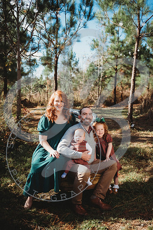 Christmas Minis - 2022_111222_0010