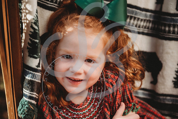Christmas Minis - 2022_111222_0172