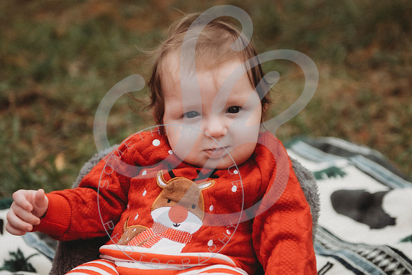 Christmas Minis - 2022_111222_0628