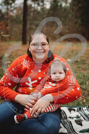 Christmas Minis - 2022_111222_0619