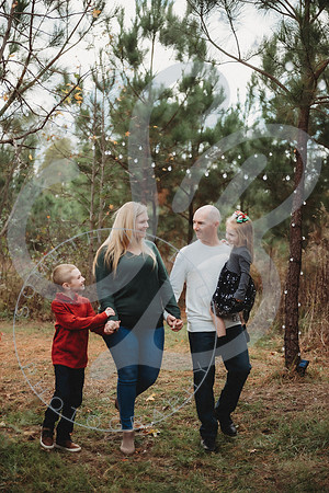 Christmas Minis - 2022_111222_0721