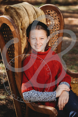 Christmas Minis - 2022_111322_1663