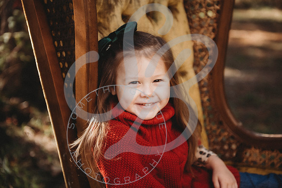 Christmas Minis - 2022_111322_1679