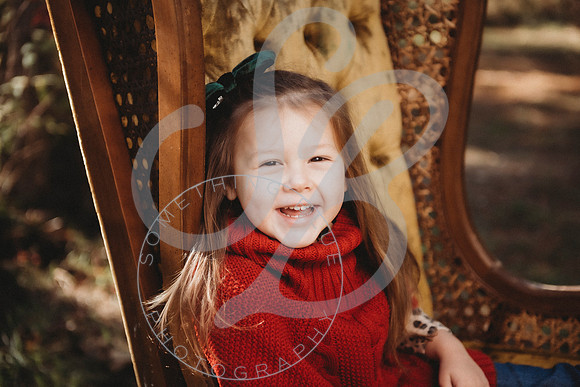 Christmas Minis - 2022_111322_1680