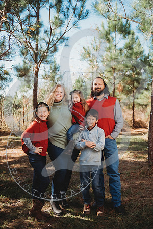 Christmas Minis - 2022_111322_1693