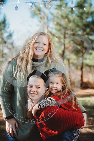 Christmas Minis - 2022_111322_1708