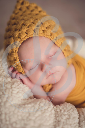 Maverick - Newborn_012122_0092