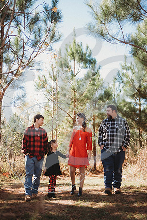 Christmas Minis - 2022_111322_1804