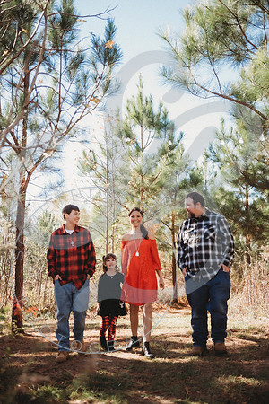 Christmas Minis - 2022_111322_1808