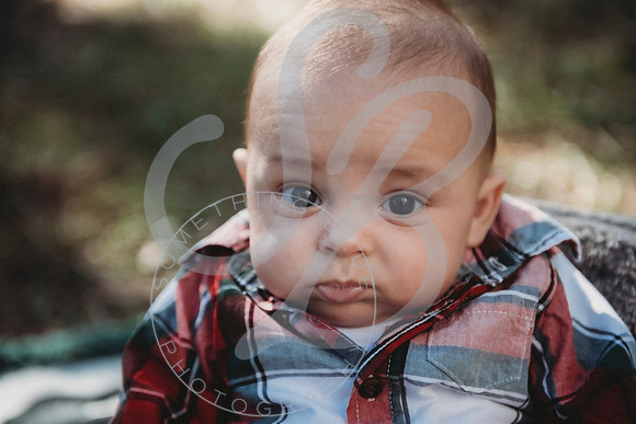 Christmas Minis - 2022_111322_1932