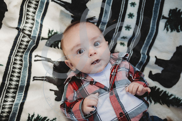 Christmas Minis - 2022_111322_2049